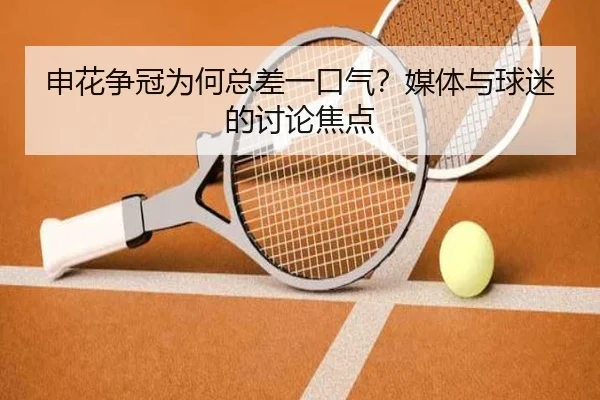 申花争冠为何总差一口气？媒体与球迷的讨论焦点